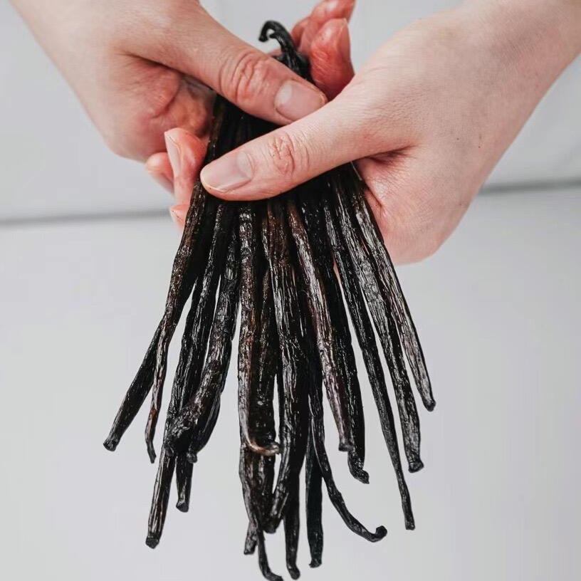Vanilla beans | Premium Gourmet | Grade A | 3 beans | Planifolia Vanilla