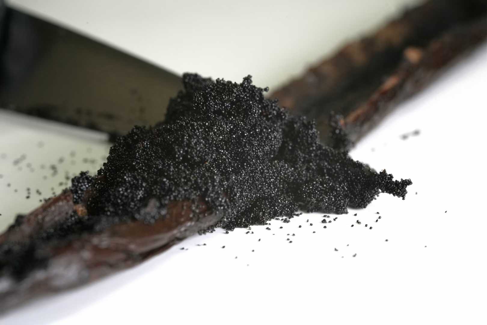 Vanilla beans | Premium Gourmet | Grade A | 250 gram | Planifolia Vanilla